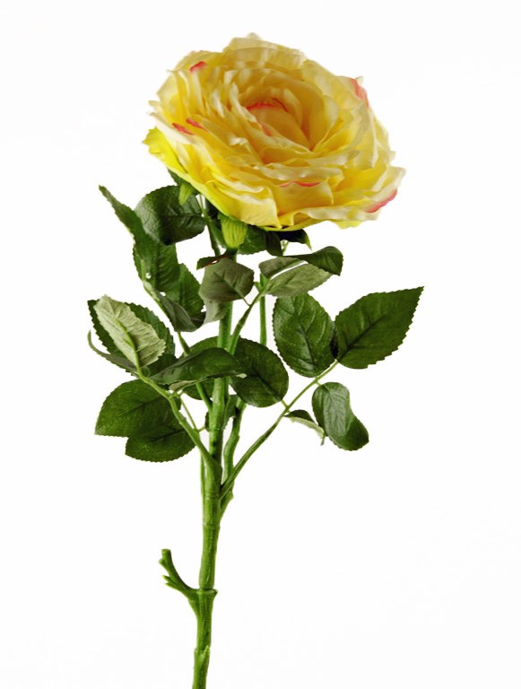 Artificial Rose Single Long Stem 65cm Yellow www.floralsundries